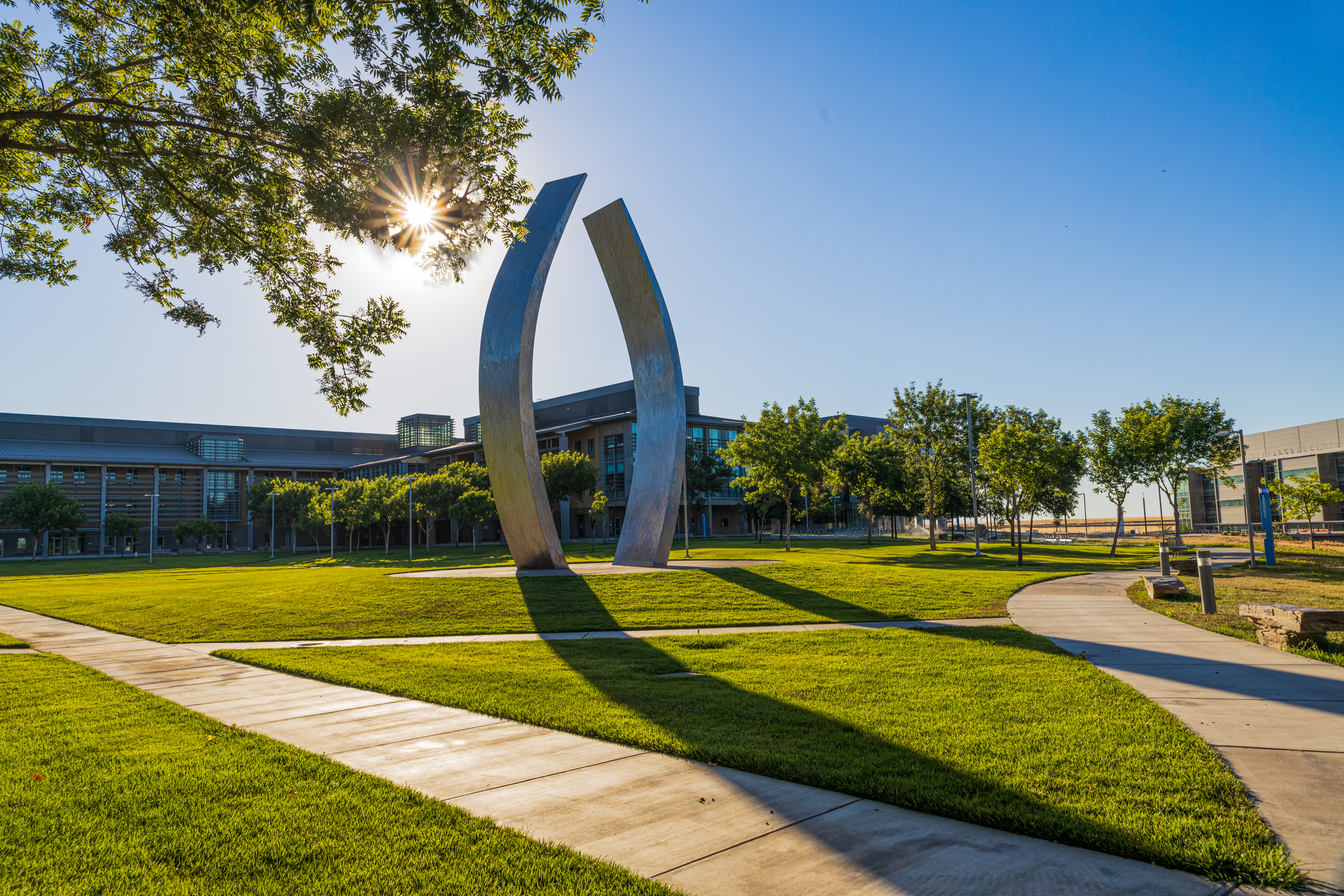 UC Merced Beginning Sculpture