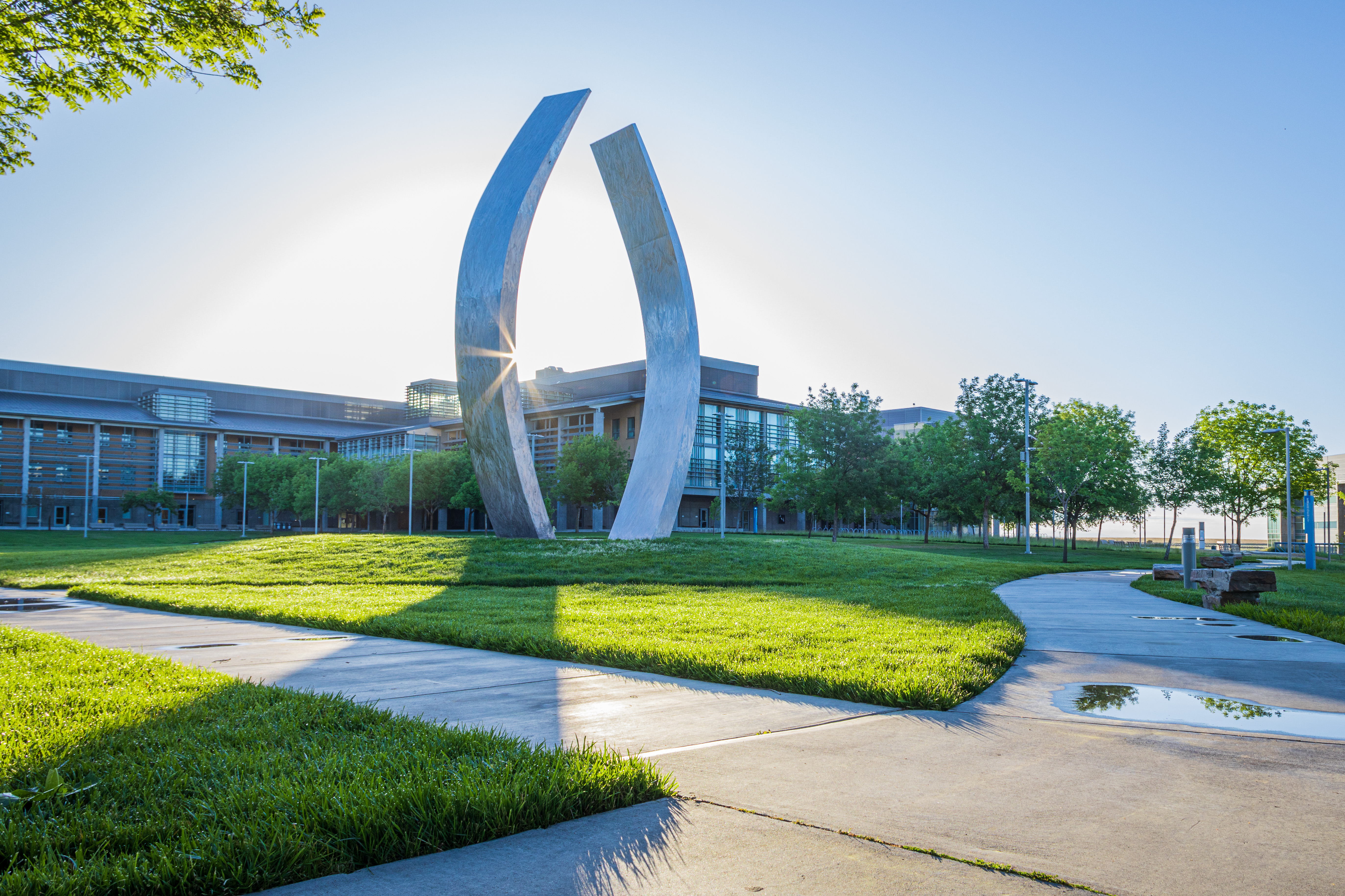 UC Merced Beginning Sculpture