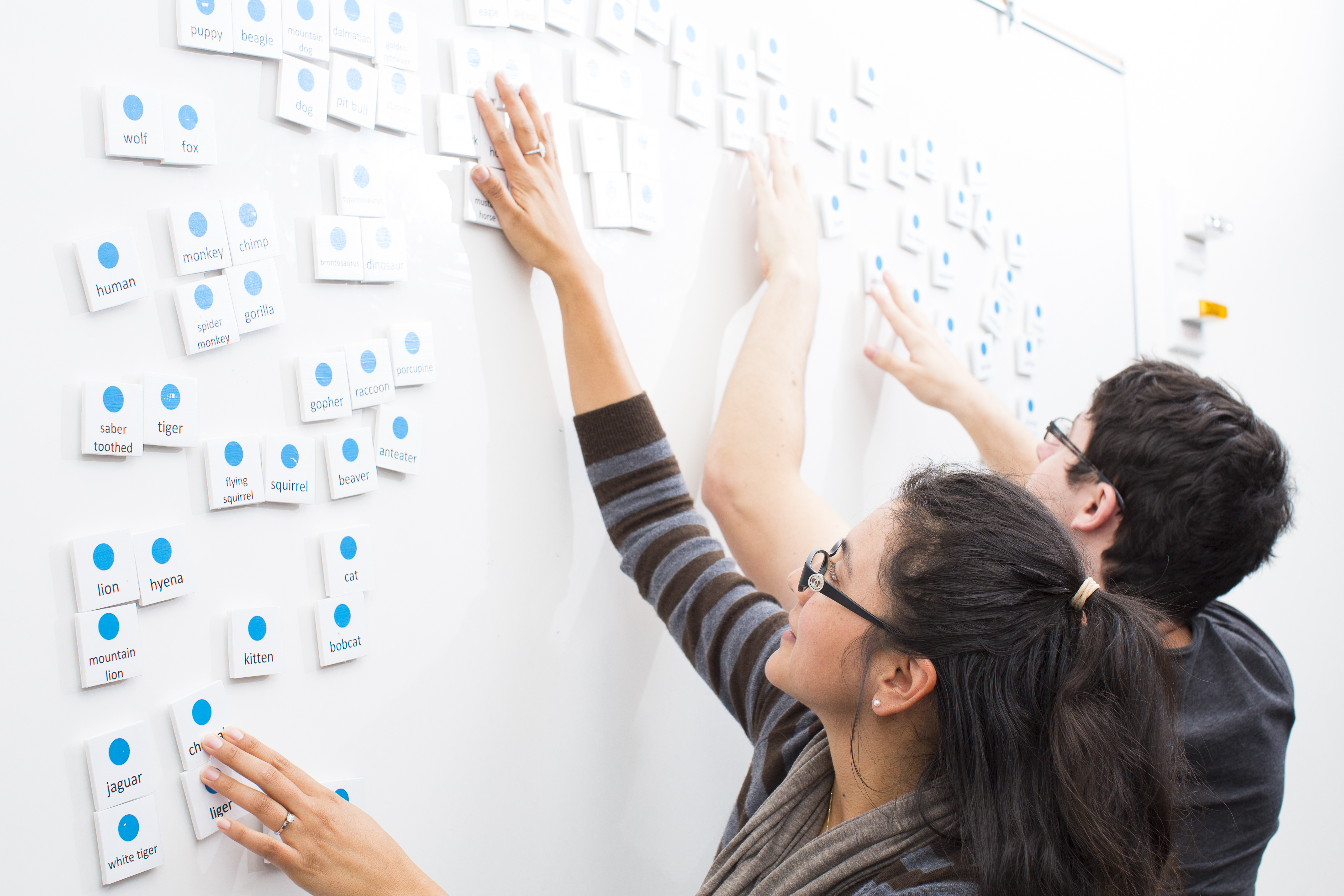Reporting and survey software interfaces representing Tableau Server and Qualtrics
